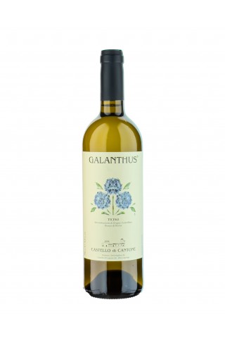 Galanthus Bianco Merlot Ticino DOC C. di Cantone 2022